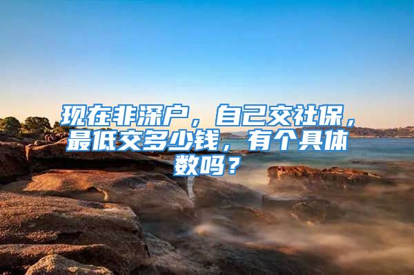 現(xiàn)在非深戶，自己交社保，最低交多少錢，有個具體數(shù)嗎？