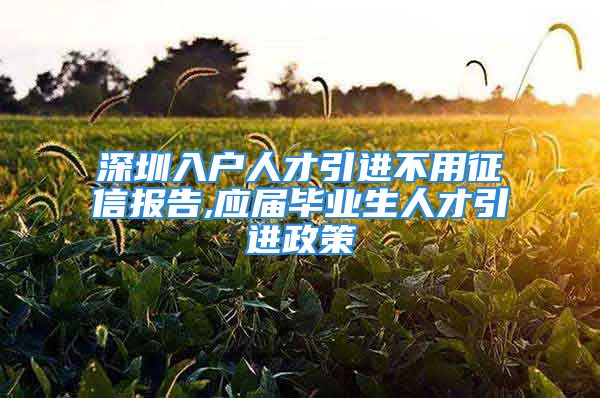 深圳入戶人才引進不用征信報告,應屆畢業(yè)生人才引進政策