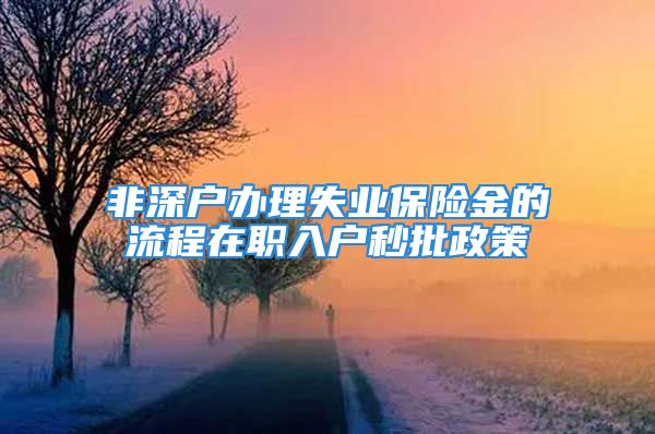 非深戶辦理失業(yè)保險金的流程在職入戶秒批政策