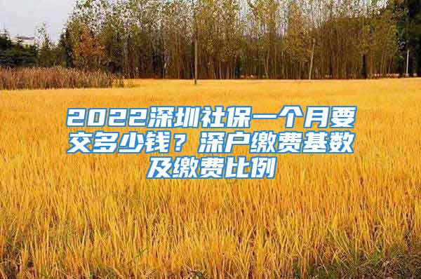 2022深圳社保一個月要交多少錢？深戶繳費基數(shù)及繳費比例