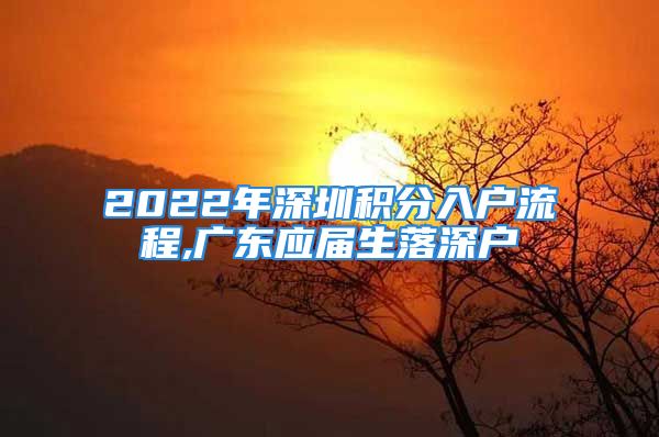 2022年深圳積分入戶流程,廣東應(yīng)屆生落深戶