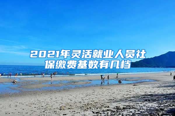 2021年靈活就業(yè)人員社保繳費基數(shù)有幾檔