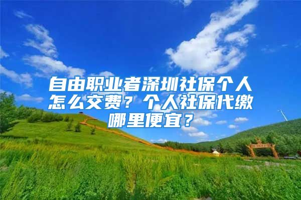 自由職業(yè)者深圳社保個人怎么交費？個人社保代繳哪里便宜？