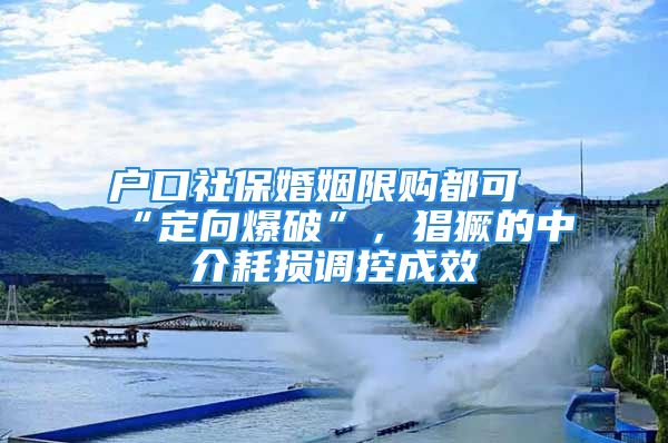 戶口社?；橐鱿拶彾伎伞岸ㄏ虮啤?，猖獗的中介耗損調(diào)控成效