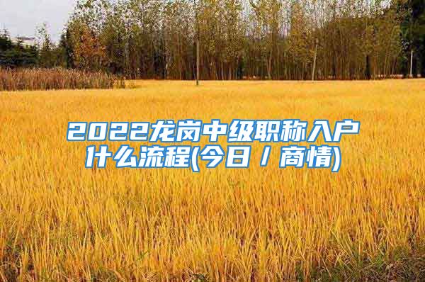 2022龍崗中級(jí)職稱入戶什么流程(今日／商情)