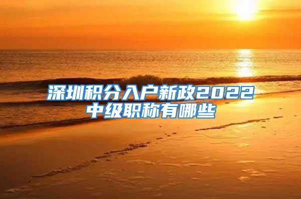 深圳積分入戶(hù)新政2022中級(jí)職稱(chēng)有哪些