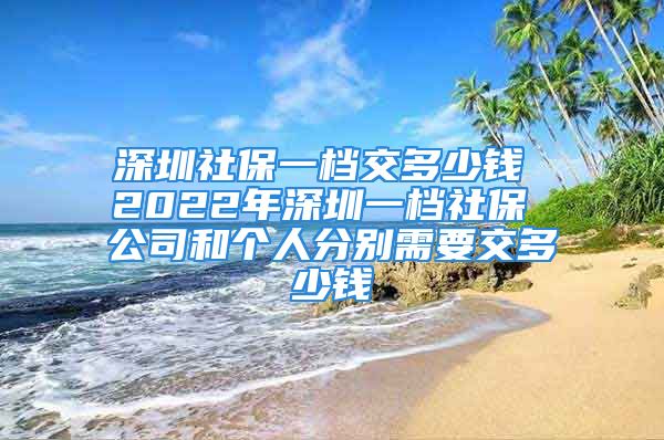 深圳社保一檔交多少錢 2022年深圳一檔社保 公司和個人分別需要交多少錢