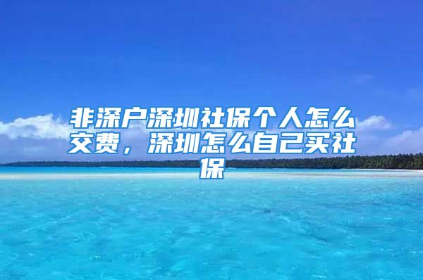 非深戶深圳社保個(gè)人怎么交費(fèi)，深圳怎么自己買社保