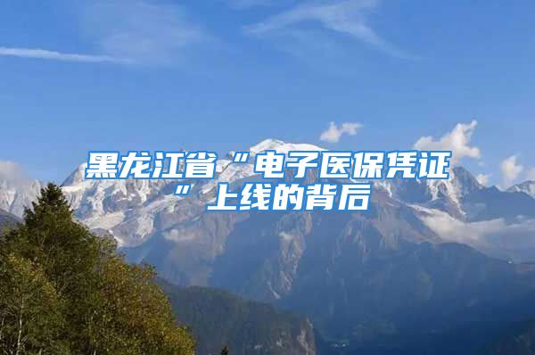 黑龍江省“電子醫(yī)保憑證”上線(xiàn)的背后