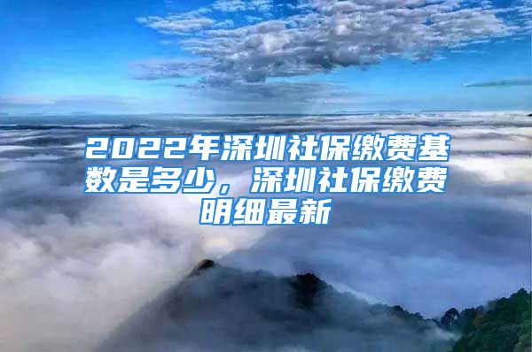 2022年深圳社保繳費基數(shù)是多少，深圳社保繳費明細(xì)最新