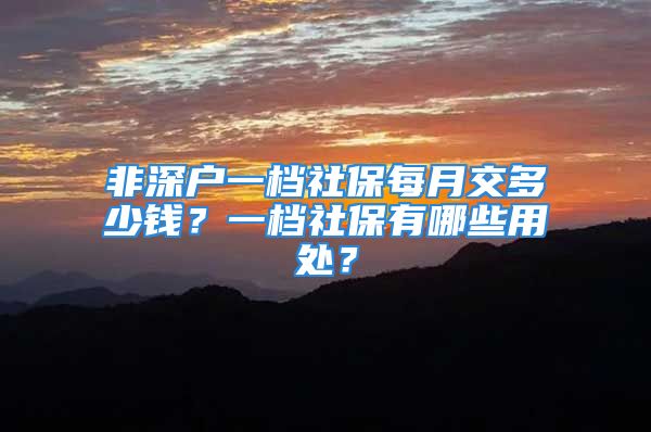 非深戶一檔社保每月交多少錢？一檔社保有哪些用處？