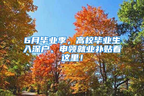 6月畢業(yè)季，高校畢業(yè)生入深戶、申領(lǐng)就業(yè)補(bǔ)貼看這里！