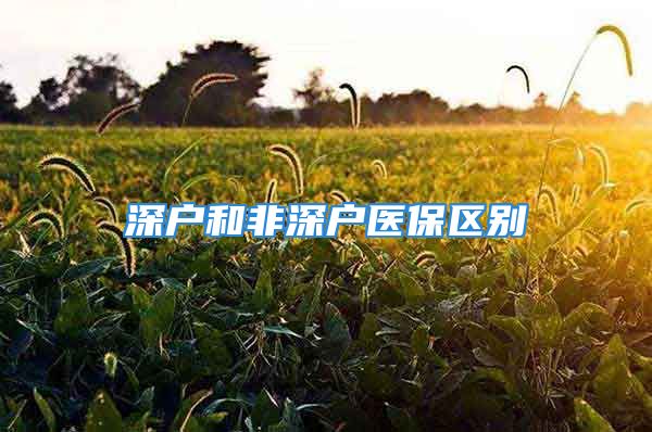 深戶和非深戶醫(yī)保區(qū)別