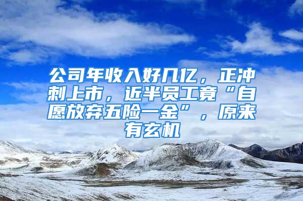 公司年收入好幾億，正沖刺上市，近半員工竟“自愿放棄五險一金”，原來有玄機