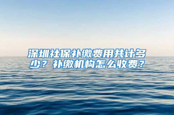 深圳社保補繳費用共計多少？補繳機構(gòu)怎么收費？