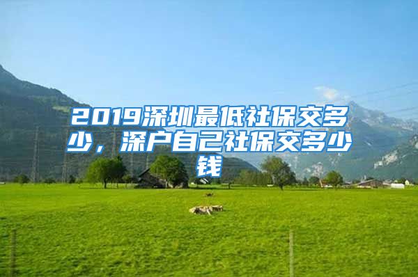 2019深圳最低社保交多少，深戶自己社保交多少錢