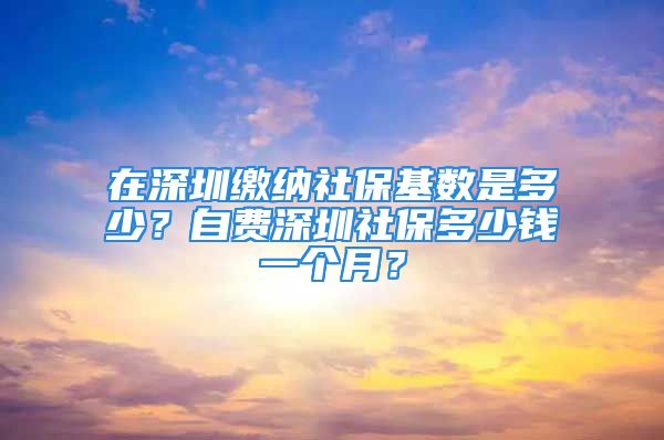 在深圳繳納社?；鶖?shù)是多少？自費(fèi)深圳社保多少錢(qián)一個(gè)月？