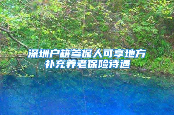 深圳戶籍參保人可享地方補(bǔ)充養(yǎng)老保險(xiǎn)待遇