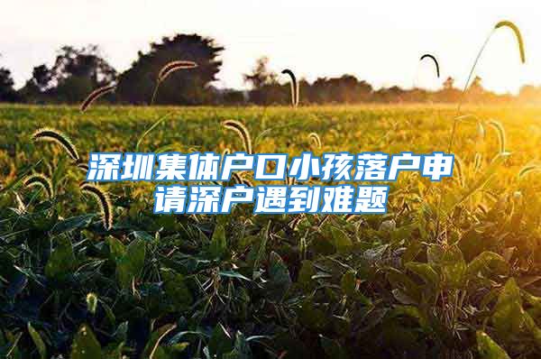 深圳集體戶口小孩落戶申請(qǐng)深戶遇到難題