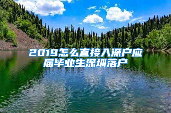 2019怎么直接入深戶應(yīng)屆畢業(yè)生深圳落戶