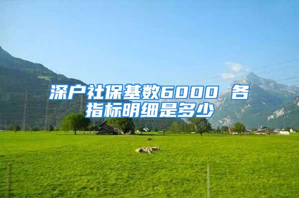 深戶社保基數(shù)6000 各指標(biāo)明細(xì)是多少