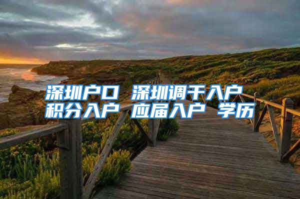 深圳戶口 深圳調干入戶 積分入戶 應屆入戶 學歷