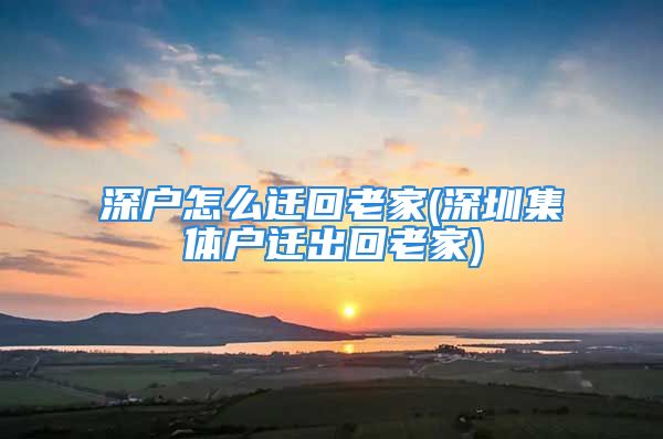 深戶怎么遷回老家(深圳集體戶遷出回老家)