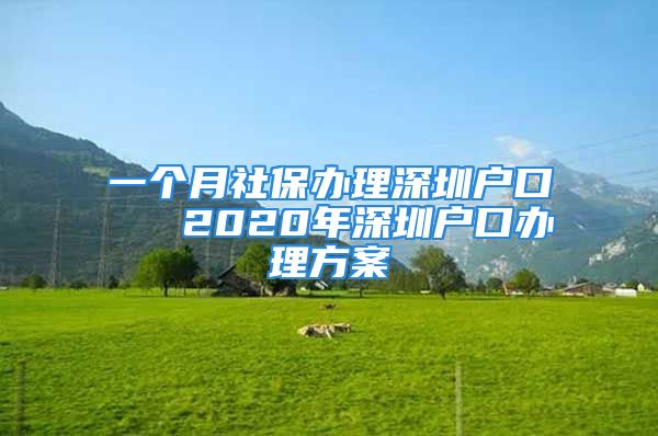 一個(gè)月社保辦理深圳戶(hù)口   2020年深圳戶(hù)口辦理方案