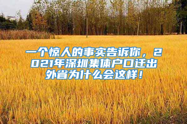 一個(gè)驚人的事實(shí)告訴你，2021年深圳集體戶口遷出外省為什么會(huì)這樣！