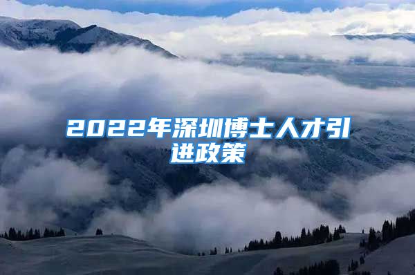 2022年深圳博士人才引進政策