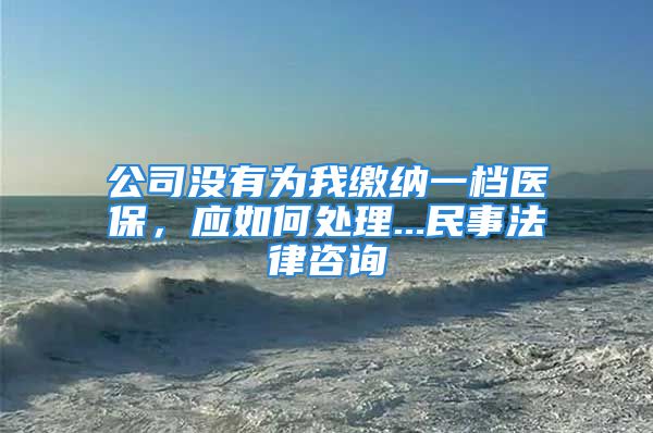 公司沒有為我繳納一檔醫(yī)保，應如何處理...民事法律咨詢