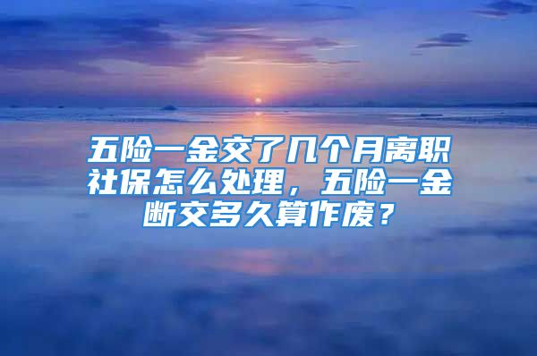 五險(xiǎn)一金交了幾個(gè)月離職社保怎么處理，五險(xiǎn)一金斷交多久算作廢？