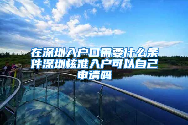 在深圳入戶口需要什么條件深圳核準入戶可以自己申請嗎