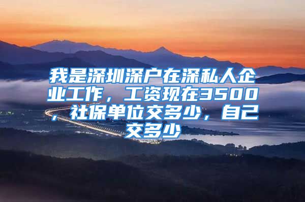 我是深圳深戶(hù)在深私人企業(yè)工作，工資現(xiàn)在3500，社保單位交多少，自己交多少