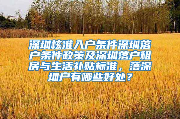 深圳核準入戶條件深圳落戶條件政策及深圳落戶租房與生活補貼標準，落深圳戶有哪些好處？