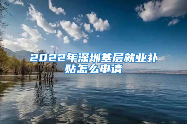 2022年深圳基層就業(yè)補(bǔ)貼怎么申請(qǐng)