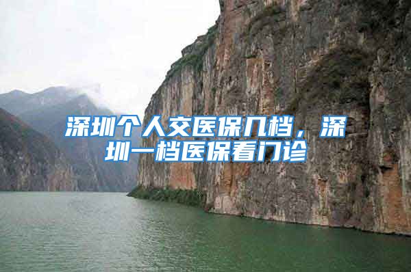 深圳個(gè)人交醫(yī)保幾檔，深圳一檔醫(yī)?？撮T診