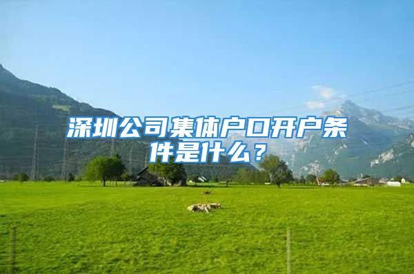 深圳公司集體戶口開戶條件是什么？