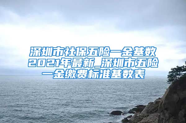 深圳市社保五險(xiǎn)一金基數(shù)2021年最新_深圳市五險(xiǎn)一金繳費(fèi)標(biāo)準(zhǔn)基數(shù)表