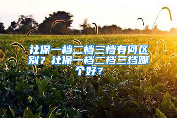 社保一檔二檔三檔有何區(qū)別？社保一檔二檔三檔哪個好？