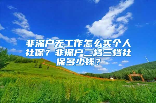 非深戶無(wú)工作怎么買個(gè)人社保？非深戶二檔三檔社保多少錢？