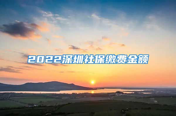 2022深圳社保繳費(fèi)金額