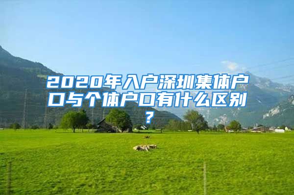 2020年入戶深圳集體戶口與個(gè)體戶口有什么區(qū)別？