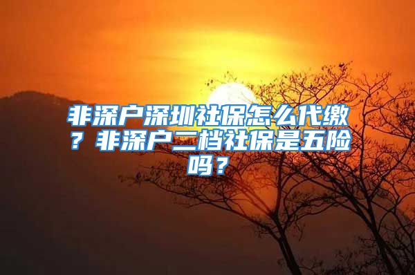 非深戶深圳社保怎么代繳？非深戶二檔社保是五險(xiǎn)嗎？