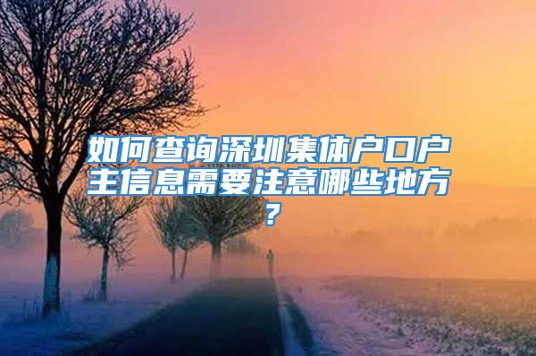 如何查詢深圳集體戶口戶主信息需要注意哪些地方？