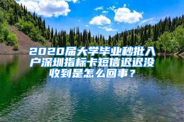 2020屆大學(xué)畢業(yè)秒批入戶深圳指標(biāo)卡短信遲遲沒收到是怎么回事？