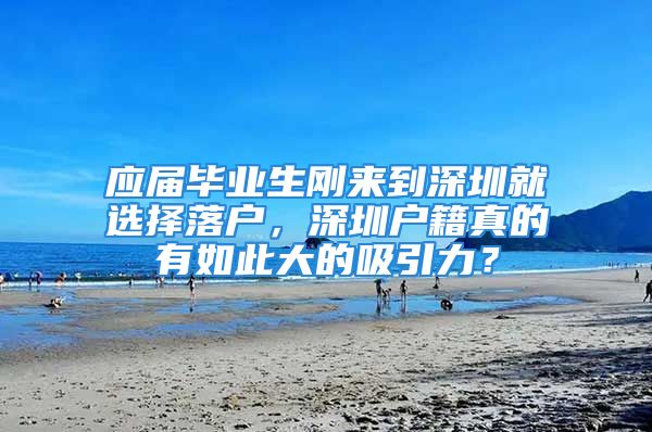 應(yīng)屆畢業(yè)生剛來(lái)到深圳就選擇落戶，深圳戶籍真的有如此大的吸引力？