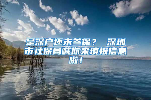 是深戶還未參保？ 深圳市社保局喊你來填報(bào)信息啦！