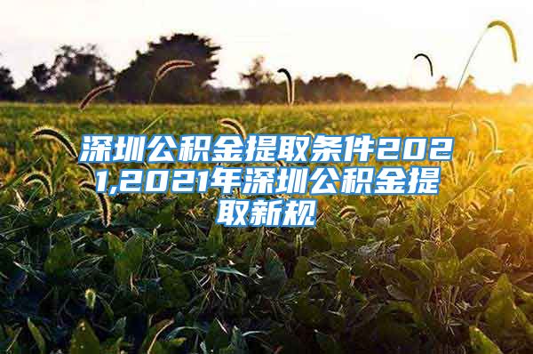 深圳公積金提取條件2021,2021年深圳公積金提取新規(guī)