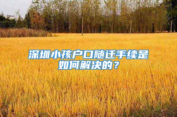 深圳小孩戶口隨遷手續(xù)是如何解決的？